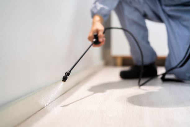 Licensed Mosquito Control service in Kerrville, TX - Show Me Pest Control
