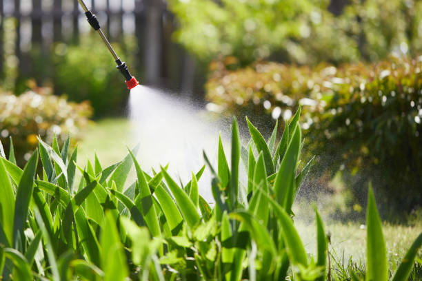 24/7 Emergency Mosquito Control experts in Kerrville, TX