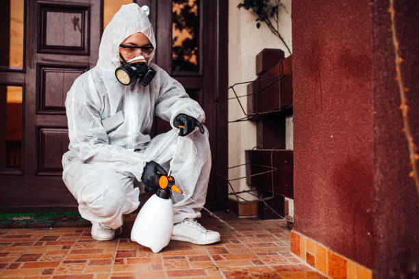Reliable Mosquito Control contractor in Kerrville, TX by Show Me Pest Control
