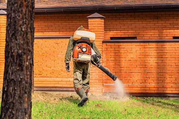 Top rated local Mosquito Control specialists in Kerrville, TX